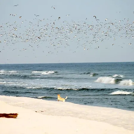 Lägenhet White Pearl 3.10