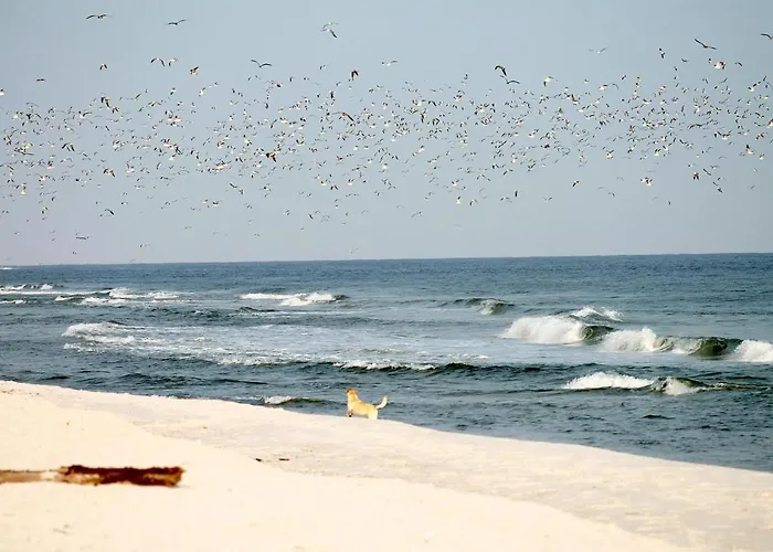 Lägenhet White Pearl 3.10