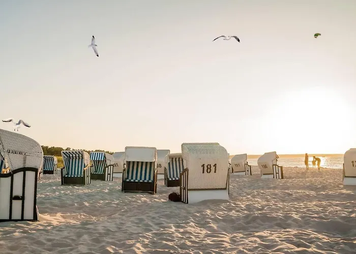 Apartment White Pearl 3.10 *