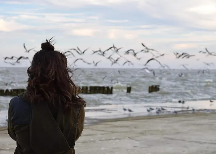 White Pearl 3.10 Timmendorfer Strand