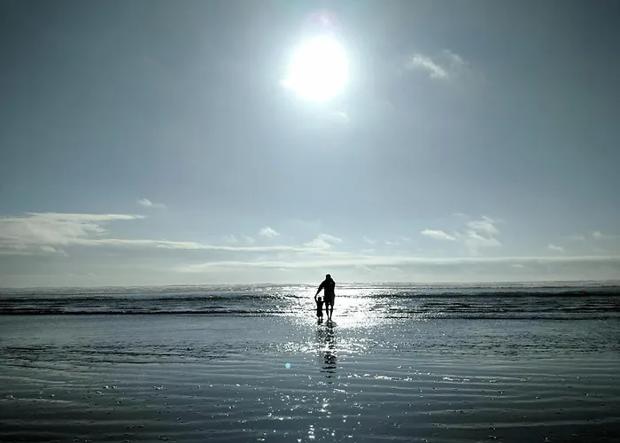 Apartment White Pearl 3.10